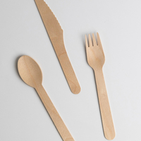 Ensemble de couverts jetables écologiques biodégradables en bois de bouleau naturel, couteau, fourchette, cuillère, serviette, emballés individuellement, pour la restauration