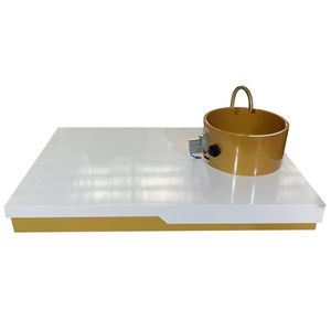 Lujoso Lavabo para <span class=keywords><strong>Manos</strong></span> de Salón de Belleza con Grifo Dorado, Tazón de Porcelana Blanca para Salón en Oferta, Accesorios para Pedicura <span class=keywords><strong>y</strong></span> Masaje de <span class=keywords><strong>Pies</strong></span> - Product Image 2
