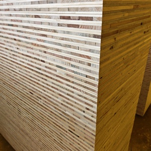 Pannello in compensato di pino impermeabile E0 3 strati WBP 2000x500mm 21mm 27mm giallo per casseforme e costruzioni - Product Image 3