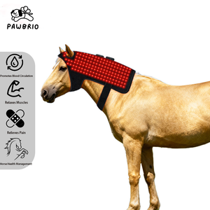 Appareil de thérapie LED infrarouge proche (660nm 850nm) pour chiens et chevaux avec fonctionnalités de soulagement de la douleur et de cicatrisation des plaies, facile à utiliser - Product Image 2
