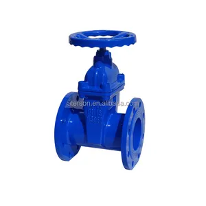 DIN 3352 F4 Capot Double Flanged Resilient Seat DI Gate Valve pn16 dn100