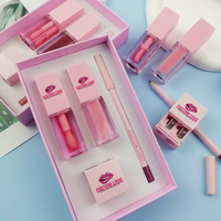 Marque privée Vegan 4 en 1 Brillant Mat Liquide Rouge À Lèvres Lipliner Crayons Ensembles Brillant À Lèvres Pigmenté Longue Durée et Kits de Crayon À Lèvres