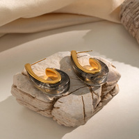 Pendientes de Resina Geométricos Chapados en Oro de 18K de Acero Inoxidable N&S, Joyería de Alta Gama para Mujer, Regalo de Moda