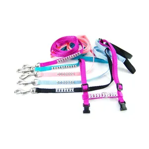 2023 Wholesale Dog Leash Design Buffer Strip Pet Leash Cat Leash