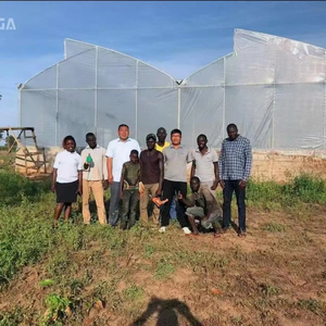 Công suất lớn megaspan răng cưa hệ thống nhà kính - Product Image 1