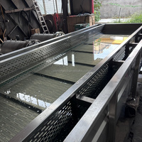 6m Automatische Voedselverwerkingslijnen - Fruit- en groentewasmachine Voedselsterilisator 800kg/u capaciteit SUS30408 Materiaal 3mm