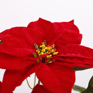 <b>Artificial</b> Poinsettia Christmas Flowers Silk High Simulation For Wedding Home Decorations - Product Image 3