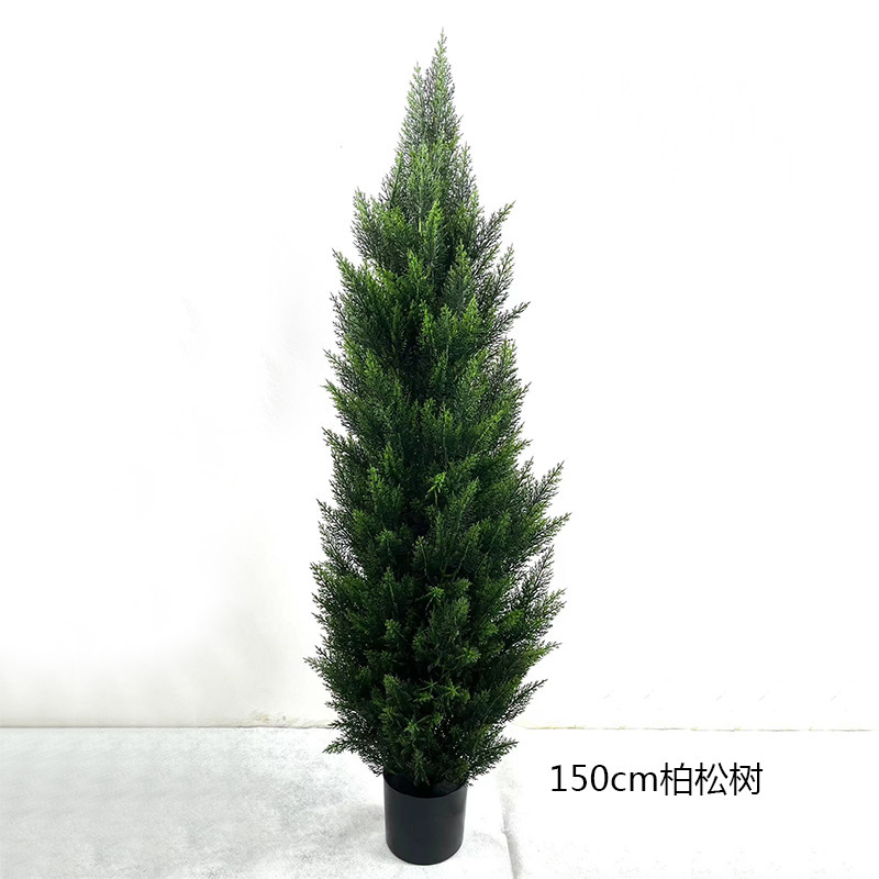 150cm