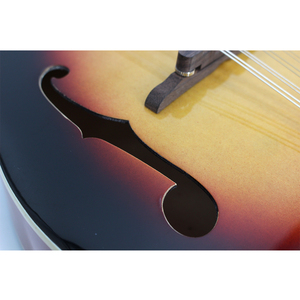 Chitarra mandolino musicale a 8 corde di buona qualità - Product Image 6