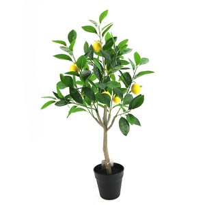 Árbol de Limón Artificial de Alta Calidad de 80 cm de Altura con <span class=keywords><strong>Maceta</strong></span>, Árbol de Limón <span class=keywords><strong>Pequeño</strong></span> Decorativo - Product Image 5