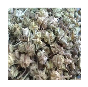 High Quality Pure and Organic Tribulus Terrestris Gokhru Extract Powder at Wholesale Market Price Direct From India - Product Image 2