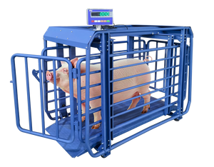 Anpassbare Elektronische Viehwaage für Rinder, Kühe, Schweine, Schafe, Ziegen Wiegeplattform für Landwirtschaft - 1 Tonne 2 Tonnen 5 Tonnen ODM OEM Unterstützt - Product Image 1