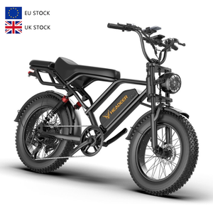 Vélo électrique tout-terrain à suspension intégrale de 20 pouces pour adultes, style vintage, livraison directe depuis les entrepôts UE et États-Unis - Product Image 1