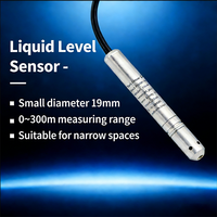 Transmetteur/Capteur de niveau submersible en acier inoxydable de petit diamètre 16 mm, précision 0,25 %, portée 200 m H2O pour la mesure de niveau