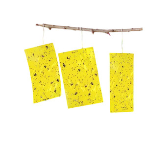 Trampa Adhesiva Ecológica de PP Amarillo con Doble Atractivo, No Tóxica, para un Control Efectivo de Insectos, Moscas de la Fruta y Moscas Blancas - Product Image 1