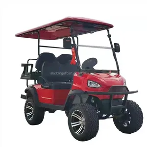 Chinese Supplier Cheap Mini Electric Buggy 7.5Kw Lifted Electric Golf Cart