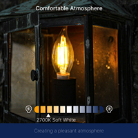 Ampoule de bougie à filament LED 5.5W 2700K 800LM bon marché en gros avec certificat FCC UL