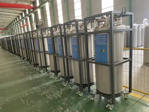 China Manufacturer High Quality Favorable Price LNG LOX LIN LAr LCO2 Cryogenic Liquid Cylinder With Gas Container Dewar Flask