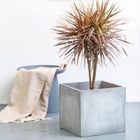 Ensemble de pots à fleurs carrés en ciment, modernes, écologiques, durables et minimalistes, pour la maison, le jardin, l'intérieur/l'extérieur, avec trou de drainage