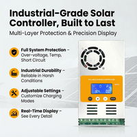 Contrôleur de charge solaire intelligent SUYEEGO 60 ampères, régulateur de panneau solaire MPPT, contrôleur MPPT
