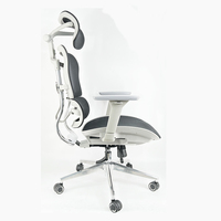 Chaise ergonomique de haute qualité hauteur réglable accoudoir 3D base en métal dossier réglable couleur en option chaise de bureau pleine maille