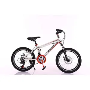 Pabrik Langsung 2023 Menjual 20 Inci Sepeda Olahraga Anak untuk Anak Laki-laki Sepeda Anak-anak