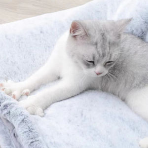 Multifunctioneel Kattennest Verstelbaar Voor Kleine Kattenhond Op Maat Gemaakte Huisdierenbedden Grot Kattenbed - Product Image 5