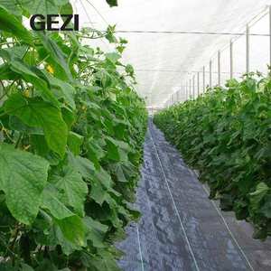 Mallas de Protección Contra Malezas de Color Verde Oscuro, Biodegradables, No Tejidas, Ecológicas, <span class=keywords><strong>para</strong></span> Agricultura, Fresas y Césped - Product Image 2