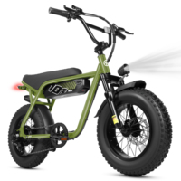 Vélo de montagne électrique personnalisé OEM/ODM 500W haute performance, double suspension, moteur arrière sans balais, haute puissance, tout-terrain