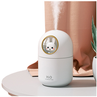 OEM Dropshipping Portable LED light mini 300ml h2o pulvérisation brume humidificateur d'air diffuseur d'huile essentielle USB voiture humidificateur d'air