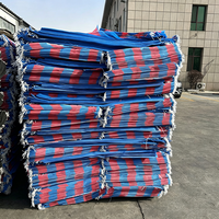 Hete Aanbieding Afrika Burkina Faso 100KG 120KG Graan Koffiebonen Maïs Rijst Rood Blauw pp Zak Polypropyleen Zakken China Fabriek