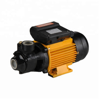 Pompa pusaran listrik seri QB60 pompa air 1-inci OEM 220V 110V 50/60hz menampilkan air bersih