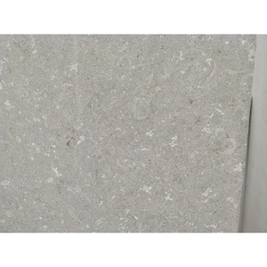 UnionStone Italy - Losas de Piedra Caliza Gris Fósil, Acabado Pulido y Cepillado, Mate, Cortadas a Medida, para Proyectos de Villas Modernas - Product Image 1