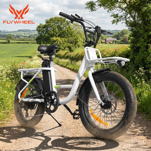 Wholesale Flywheel Dual Suspension E <b>Bike</b> 500W 48V High Carbon Steel Frame <b>Electric</b> Fatbike <b>for</b> <b>Adults</b> - Product Image 1