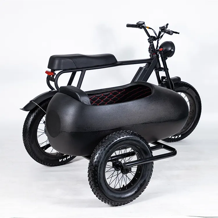 Triciclos eléctricos de neumáticos gruesos para entrega familiar de lujo de 6 velocidades, coche lateral, bicicleta de carga eléctrica