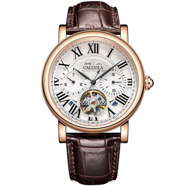 Caluola Luxury Men's Automatic Mechanical Watch | Sapphire Crystal | Stainless Steel Case | 5ATM | Pointer | Cow Leather Strap |