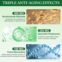 Capsule de Nicotinamide Riboside NAD Resvératrol 500mg OEM/ODM avec Quercétine Phytosome, Complément Herbal Anti-Âge