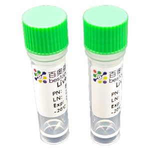 Kit per dissociazione epatica (TEST 10) dissociazione del tessuto per ricerca ISO 9001 BA3323 - Product Image 5