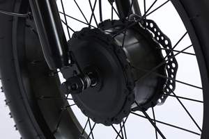 48V 18Ah EGO 03 Tricycle électrique Cargo moteur moyeu arrière acier <span class=keywords><strong>5</strong></span> vitesses avant arrière paniers 250W adultes 120kg vélo de ville - Product Image 3