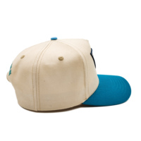Gorra de Béisbol de 5 Paneles de Algodón Personalizada, Dos Tonos, Cierre a Presión, Logotipo Bordado, Gorra de Golf de Perfil Alto, Gorras de Béisbol con Visera Curva