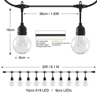 Guirlande lumineuse LED à piquet pour extérieur, fabriquée en Chine, kit de fixation au sol, utilisée pour Halloween, étanche IP65, blanc chaud
