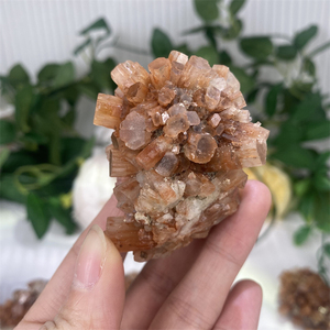 Spécimen minéral d'<span class=keywords><strong>aragonite</strong></span> rouge d'amas de cristal brut de gemme de cristal naturel de haute qualité - Product Image 2