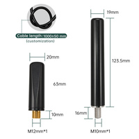 Antenne 4G à montage sur vis personnalisable, 698-2700 MHz, étanche, omnidirectionnelle, extérieure, cellulaire GSM LTE 4G 5G Wifi