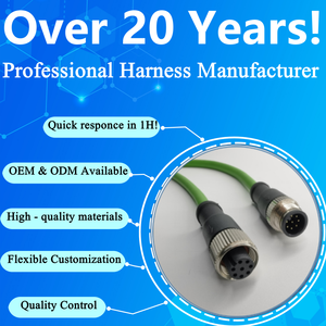 Conector de sensor M12 personalizado OEM ODM 2 pines un código hembra recto montaje de cable de aviación extensión arnés de cables para automatización - Product Image 6