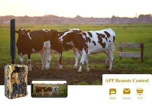 Động vật hoang dã năng lượng mặt trời 4G LTE wildcamera 4G SMTP FTP <span class=keywords><strong>MMS</strong></span> gửi động vật săn bắn Đường Mòn máy ảnh - Product Image 3