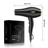 Sèche-cheveux ionique professionnel 2600W pour usage domestique et en salon, moteur AC puissant et silencieux pour applications en extérieur et hôtelières