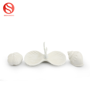 De cerámica blanca, <span class=keywords><strong>caracol</strong></span> de mar diseño de concha de sal y pimienta con placa - Product Image 2