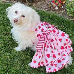 סיטונאי תות כלב לרתום שמלת פרע מחוך נסיכת חיות מחמד שמלת לחתונה מסיבת יום הולדת - Product Image 4