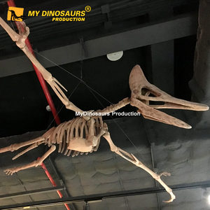 Modelo de Esqueleto de Pterosaurio Prehistórico MY DINO DS-147, Fósil de Dinosaurio Educativo - Product Image 6