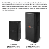 Haut-Parleurs DJ Professionnels 1000W Double 15 Pouces Gamme Complète avec Woofers Passifs, Enceinte Électronique pour Prestations Scéniques Audio